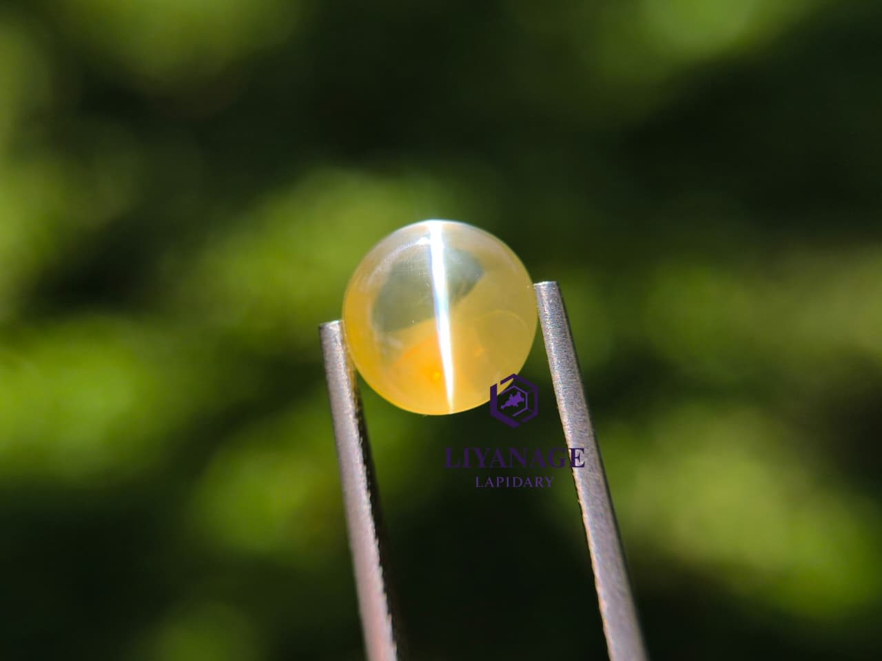 Natural Cat’s Eye chrysoberyl 3.05 ct – Unheated Transparent Stone from Ratnapura Sri Lanka - Image 5