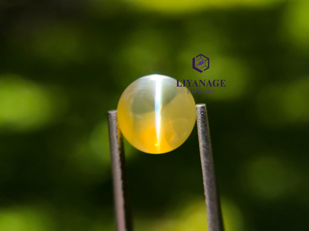 Natural Cat’s Eye chrysoberyl 3.05 ct – Unheated Transparent Stone from Ratnapura Sri Lanka