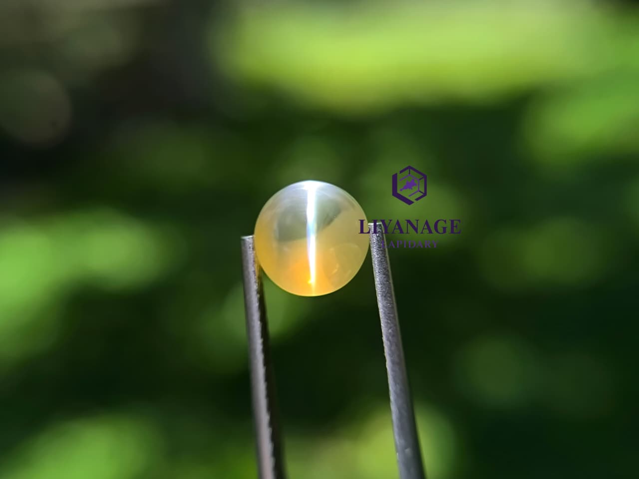 Natural Cat’s Eye chrysoberyl 3.05 ct – Unheated Transparent Stone from Ratnapura Sri Lanka - Image 7