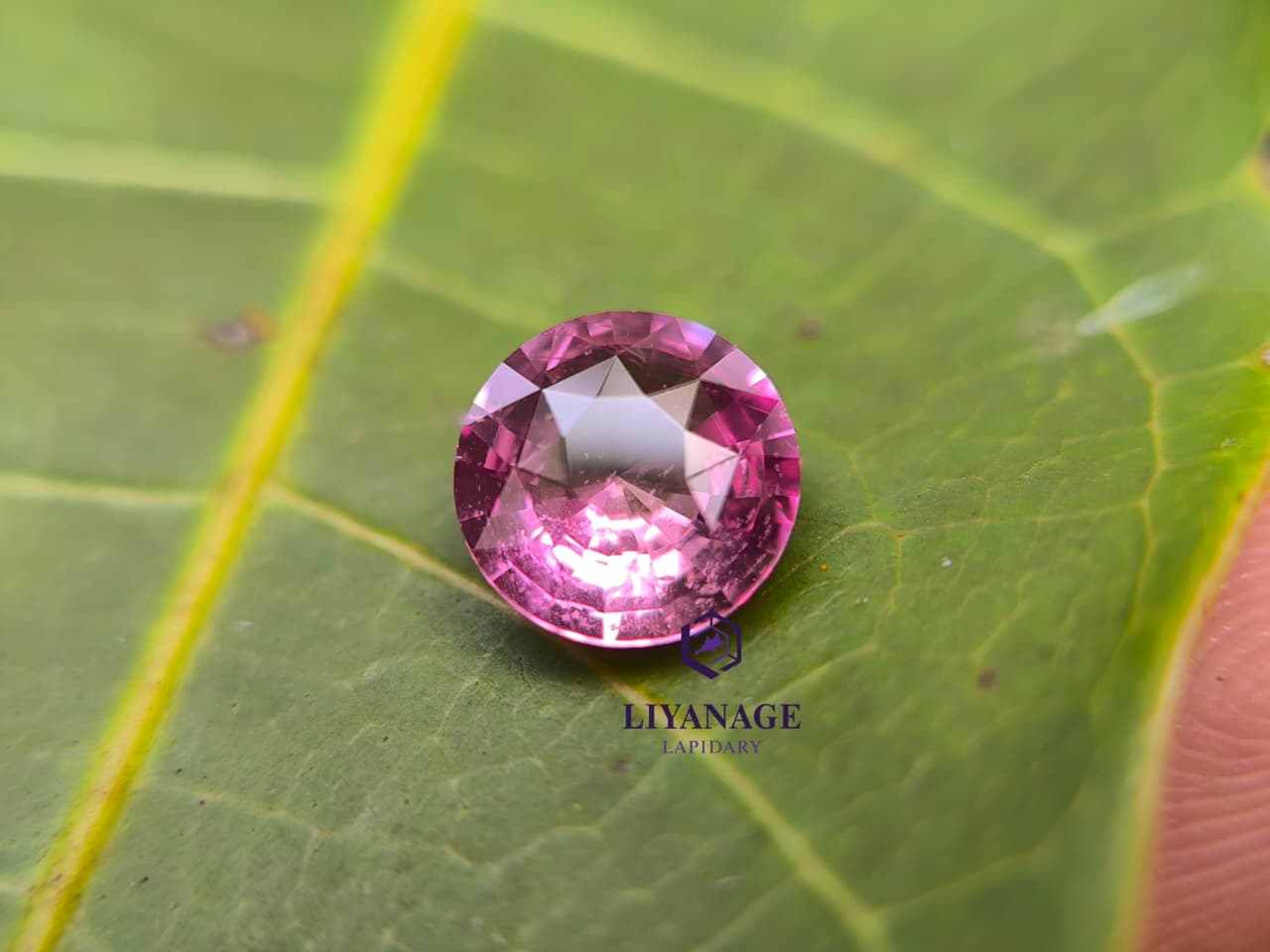 Natural Padparadscha Sapphire