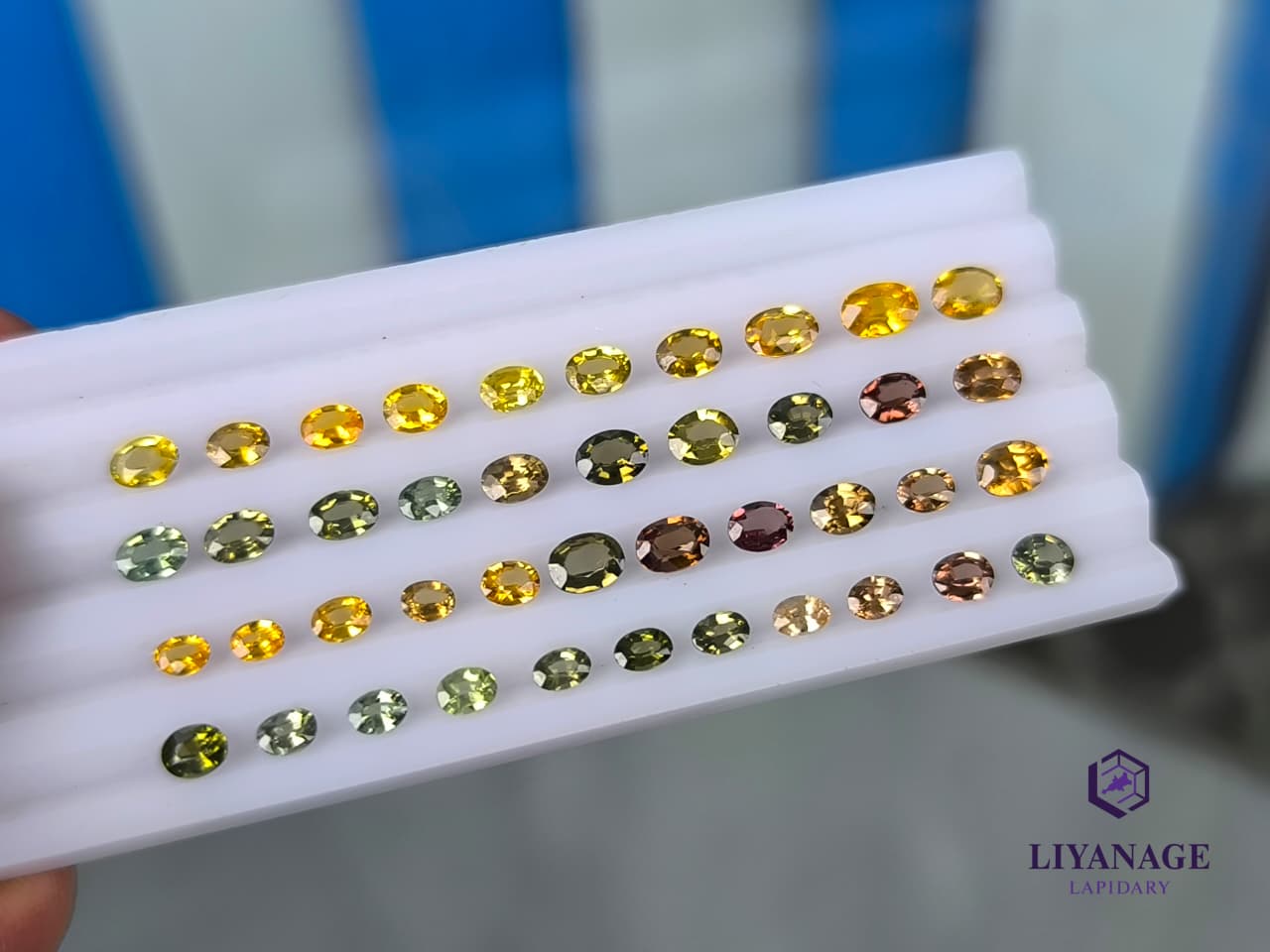 Natural Mixed Color Zircon Collection – 42 pcs Faceted Parcel from Ratnapura Sri Lanka