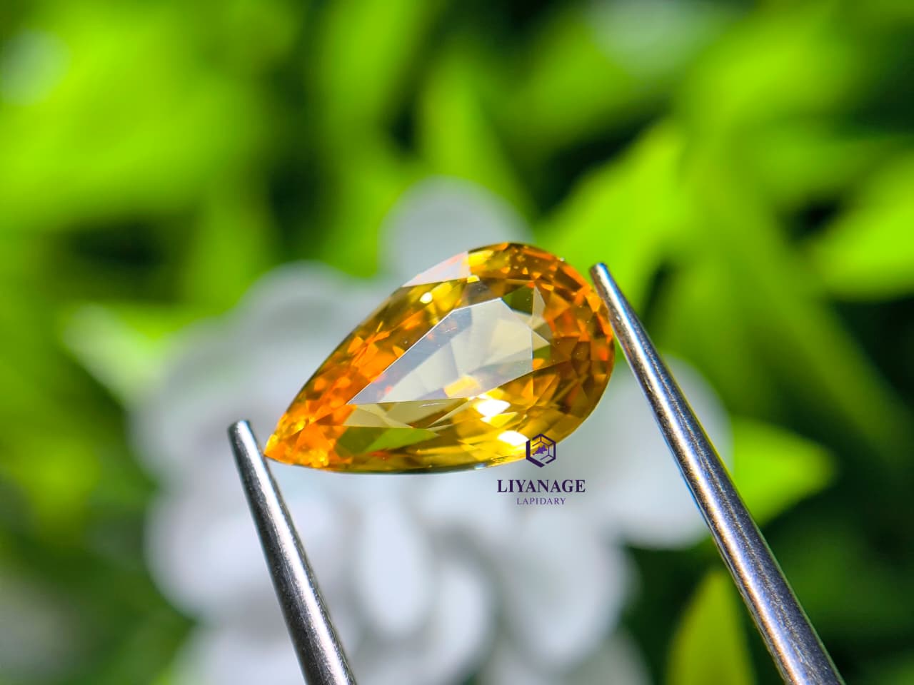 1.54 ct Natural Ceylon Orange Sapphire Pear Cut from Ratnapura, Sri Lanka - Image 5