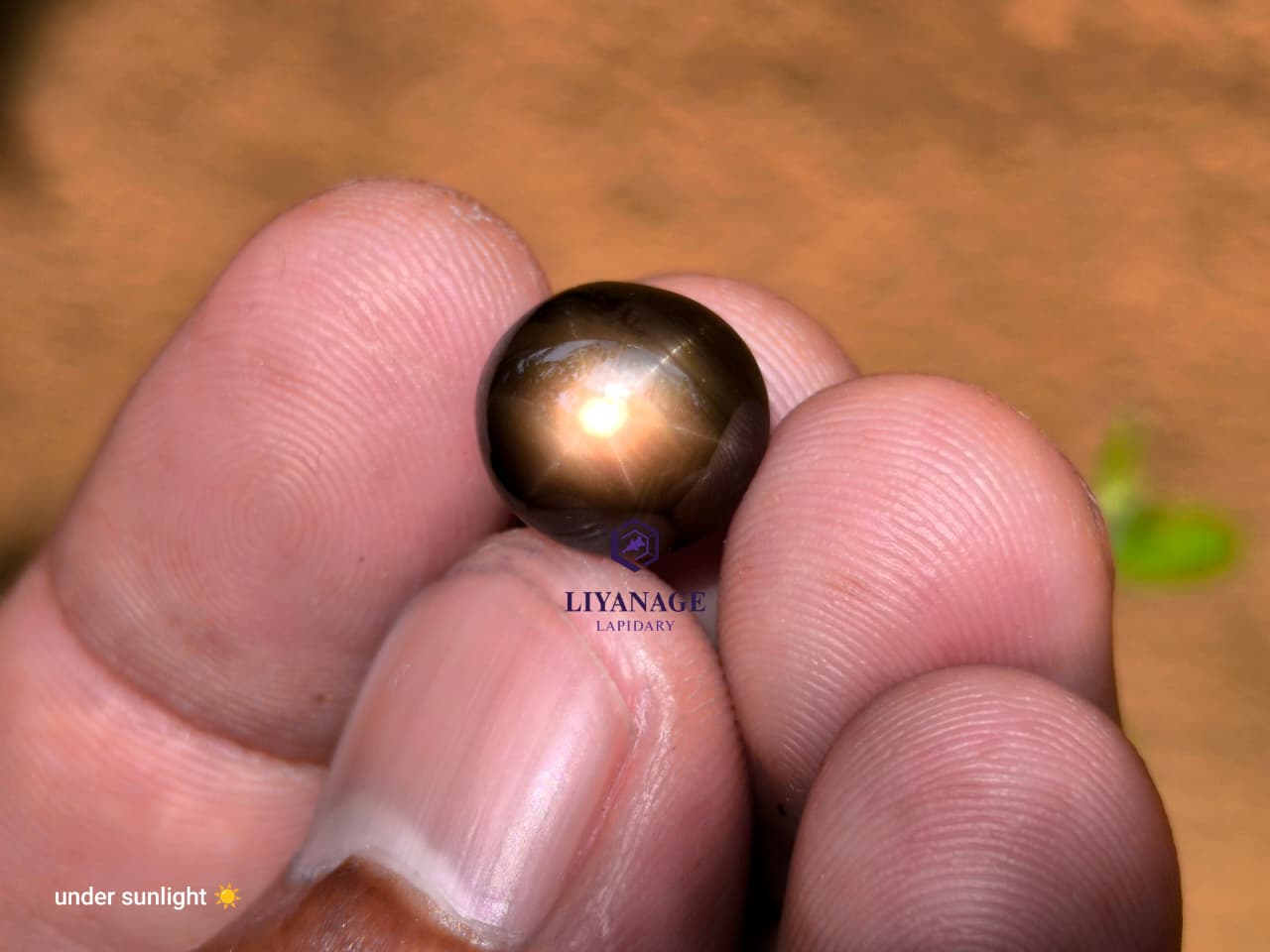 10.96 ct Certified Natural Unheated Madagascar Star Sapphire Oval Cabochon - Image 4
