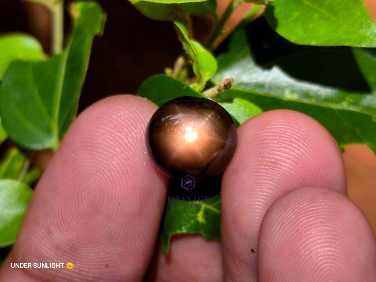 10.96 ct Certified Natural Unheated Madagascar Star Sapphire Oval Cabochon - Image 6