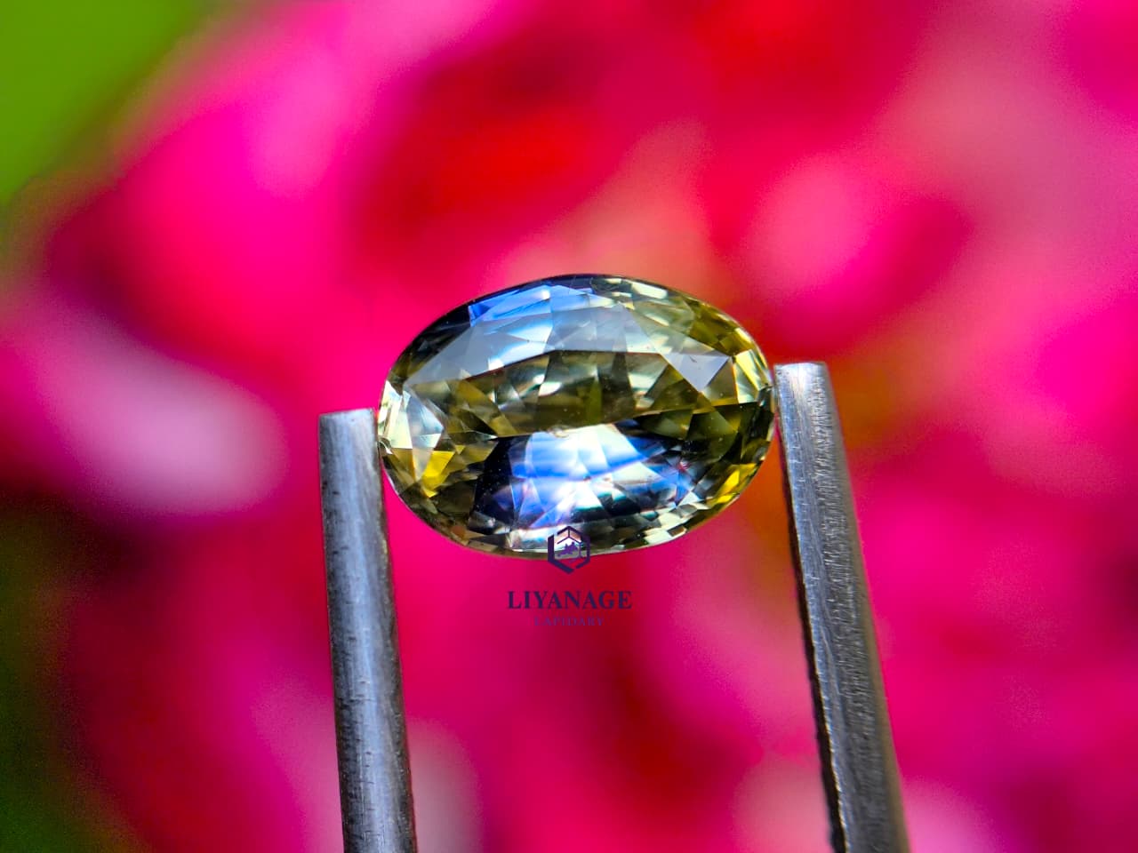 Natural Bi-Color Sapphire – 1.03 Carats