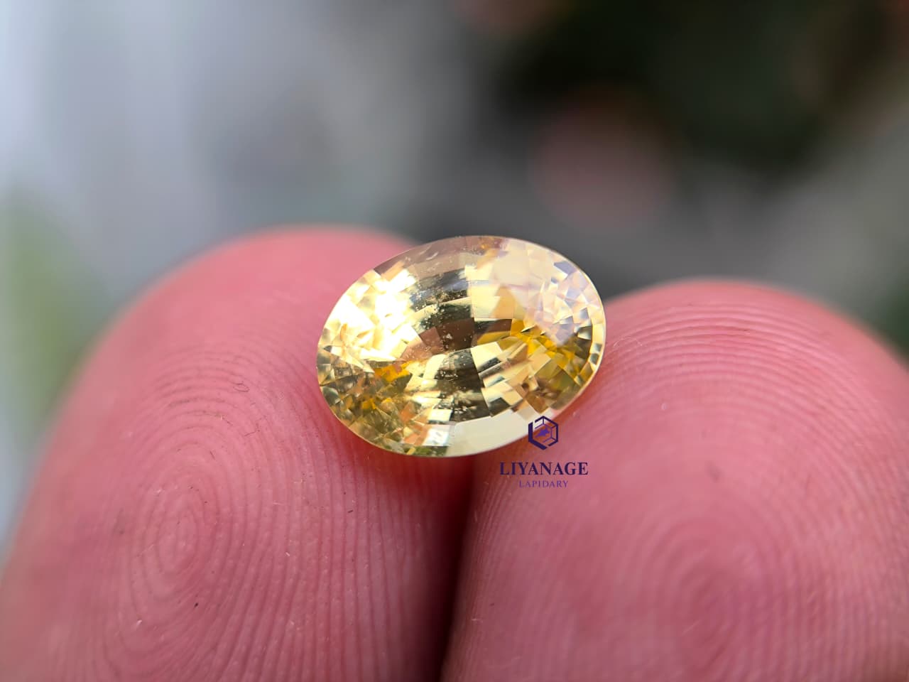 1.78 ct Natural Unheated Ceylon Yellow Sapphire Oval Step Cut from Dela, Sri Lanka - Image 2