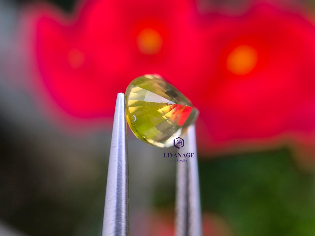1.78 ct Natural Unheated Ceylon Yellow Sapphire Oval Step Cut from Dela, Sri Lanka - Image 4
