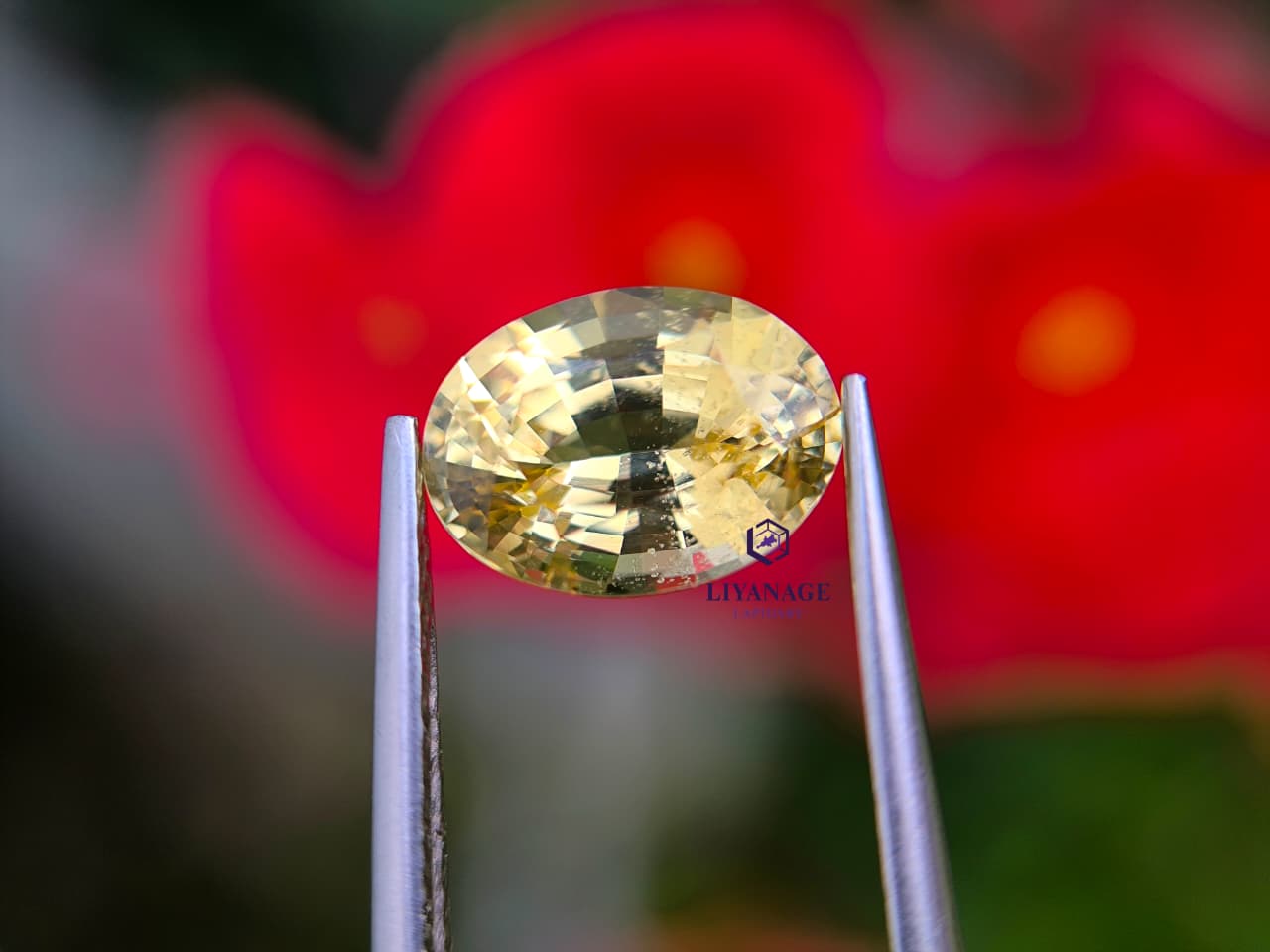 1.78 ct Natural Unheated Ceylon Yellow Sapphire Oval Step Cut from Dela, Sri Lanka - Image 5