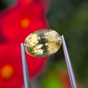 1.78 ct Natural Unheated Ceylon Yellow Sapphire Oval Step Cut from Dela, Sri Lanka