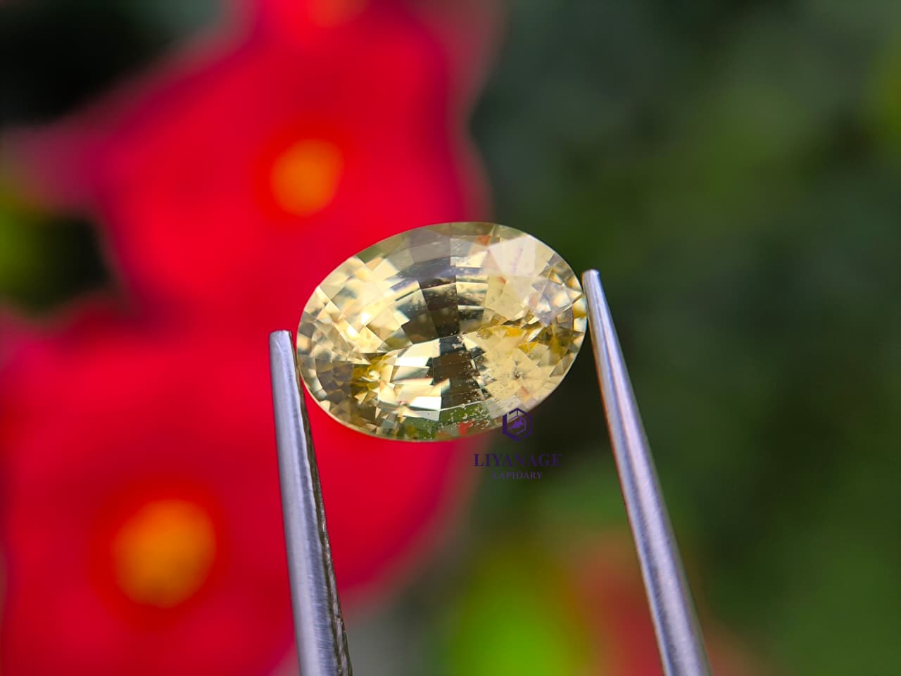1.78 ct Natural Unheated Ceylon Yellow Sapphire Oval Step Cut from Dela, Sri Lanka