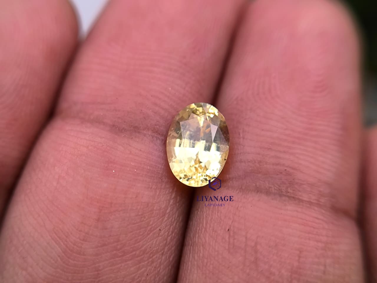 1.78 ct Natural Unheated Ceylon Yellow Sapphire Oval Step Cut from Dela, Sri Lanka - Image 7