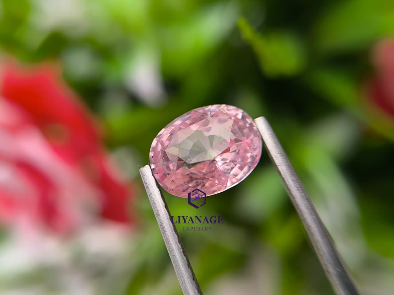 3.05 ct Natural Unheated Madagascar Peachy Pink Sapphire Oval Cut - Image 2