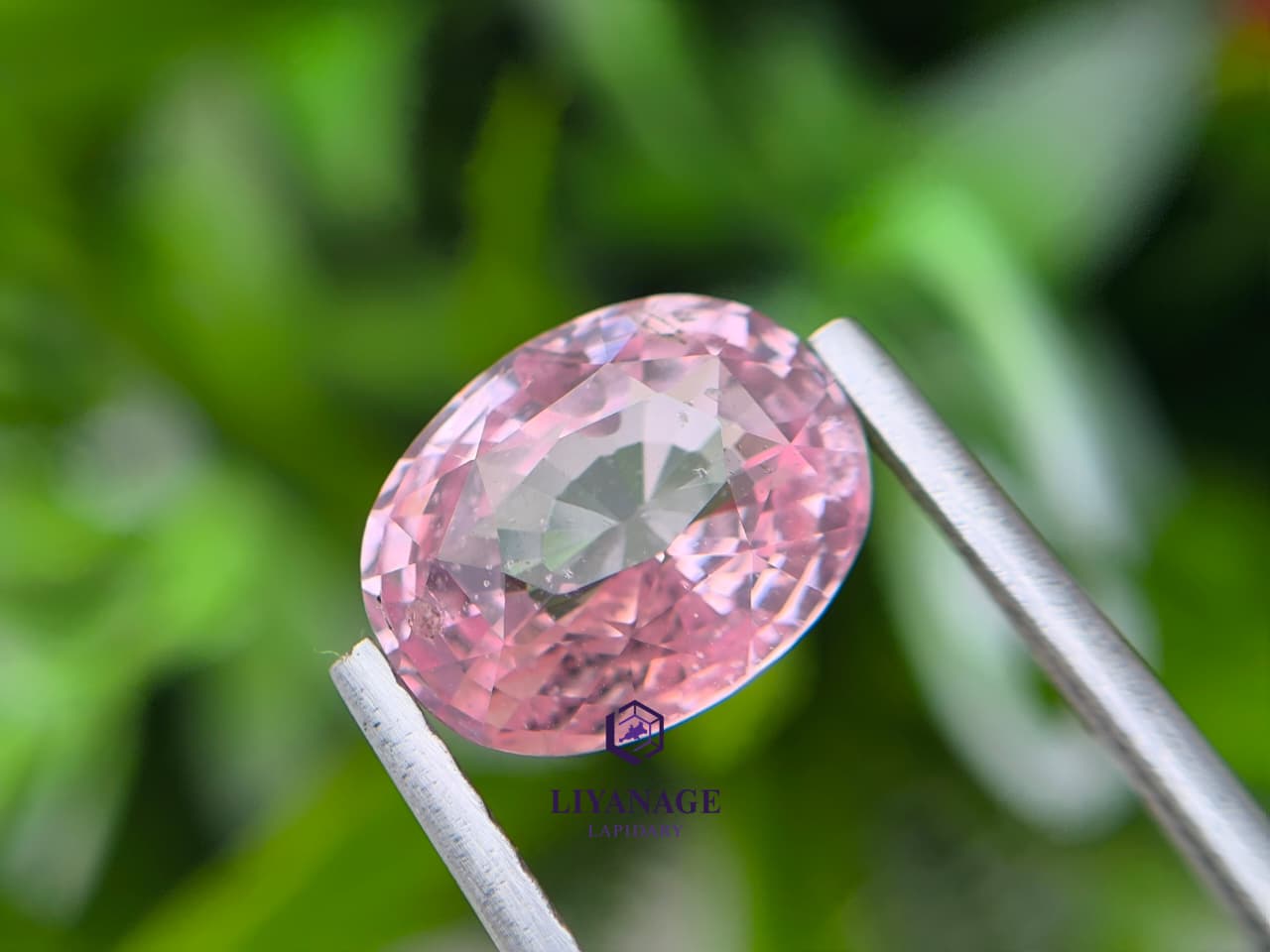 3.05 ct Natural Unheated Madagascar Peachy Pink Sapphire Oval Cut - Image 3
