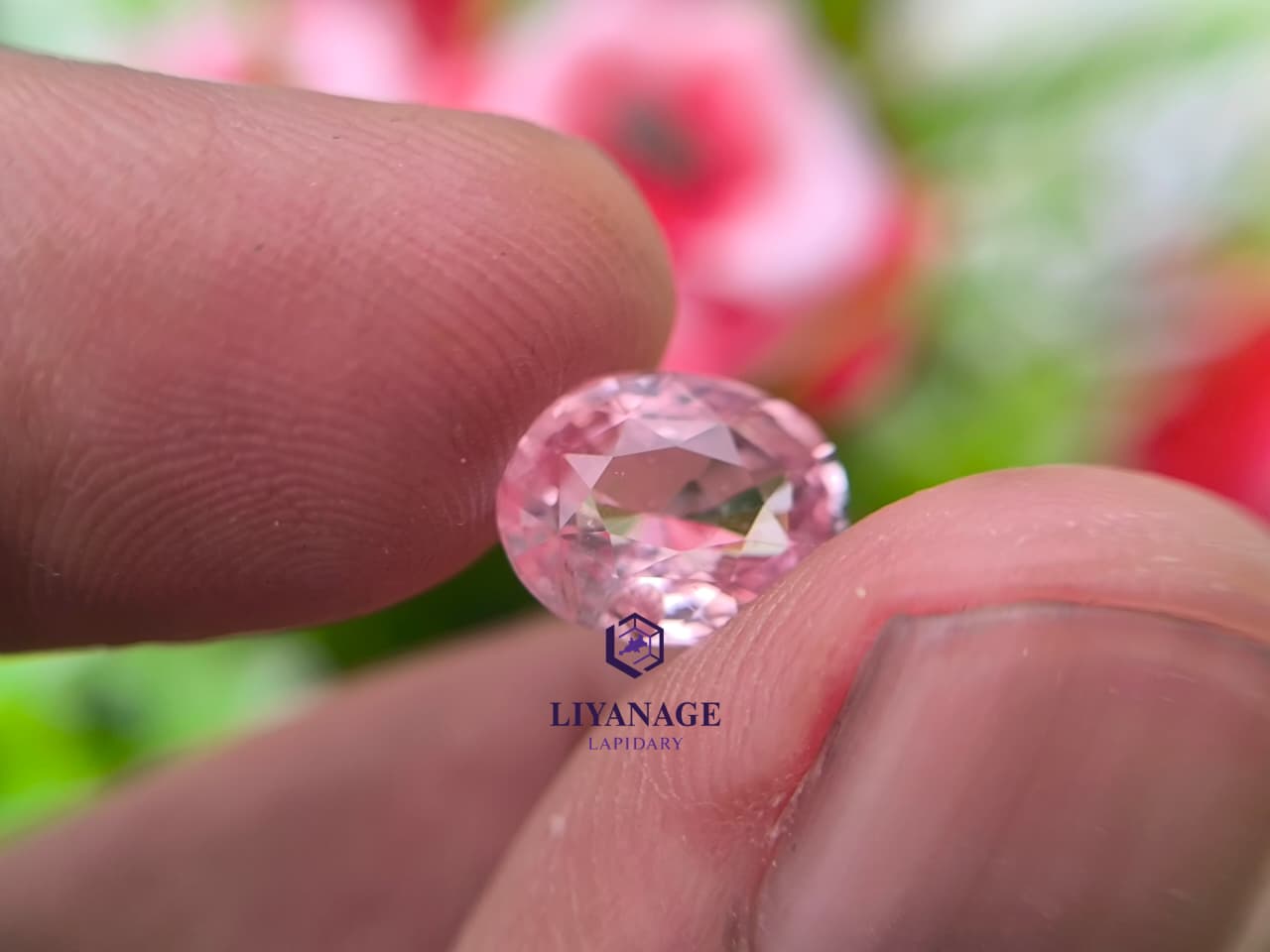 3.05 ct Natural Unheated Madagascar Peachy Pink Sapphire Oval Cut - Image 4
