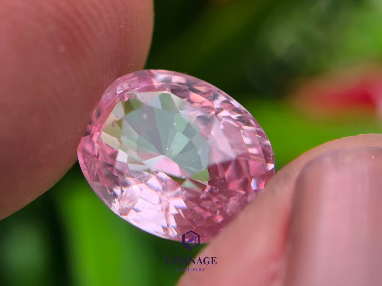 3.05 ct Natural Unheated Madagascar Peachy Pink Sapphire Oval Cut - Image 5