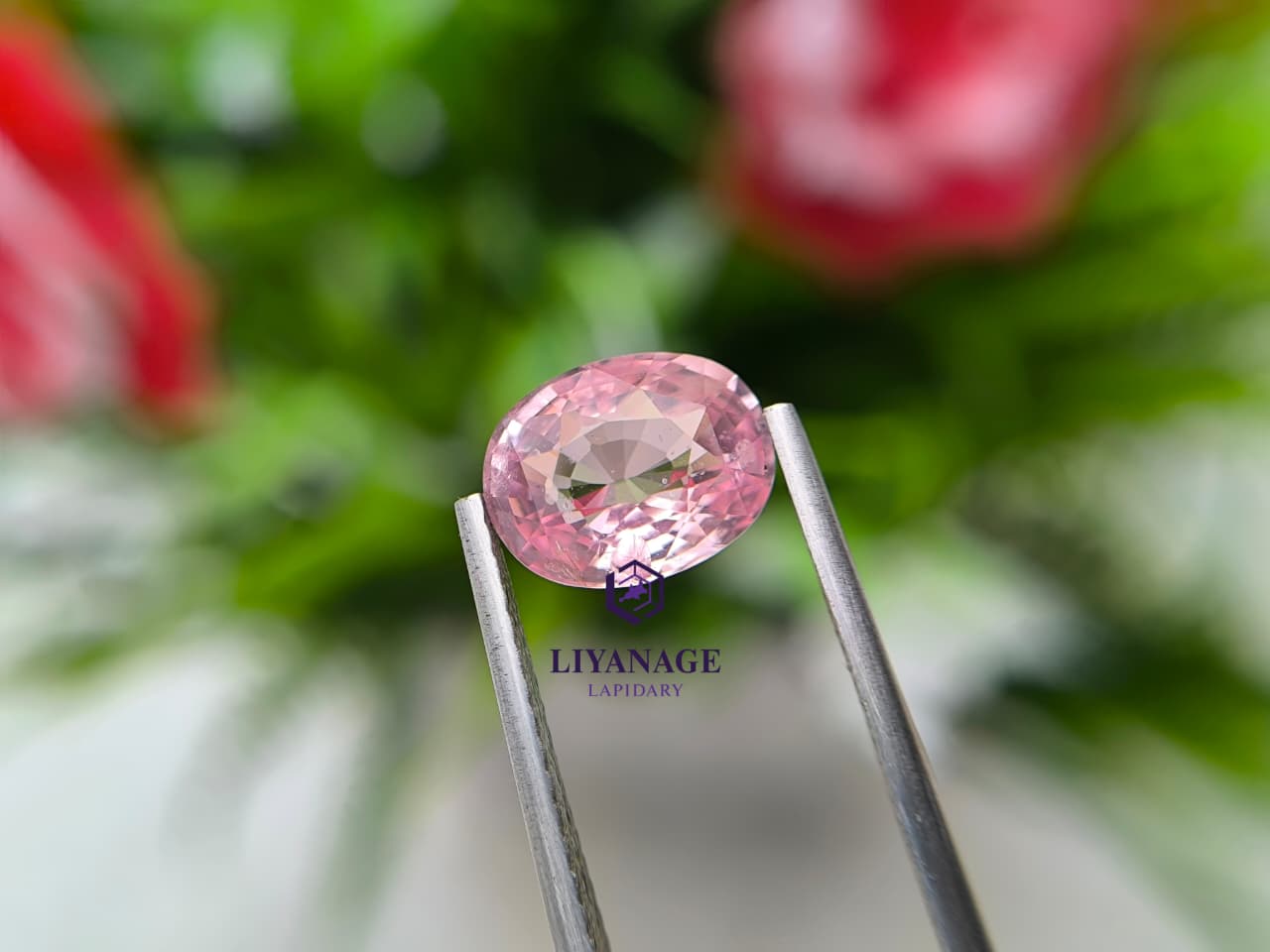 3.05 ct Natural Unheated Madagascar Peachy Pink Sapphire Oval Cut - Image 6