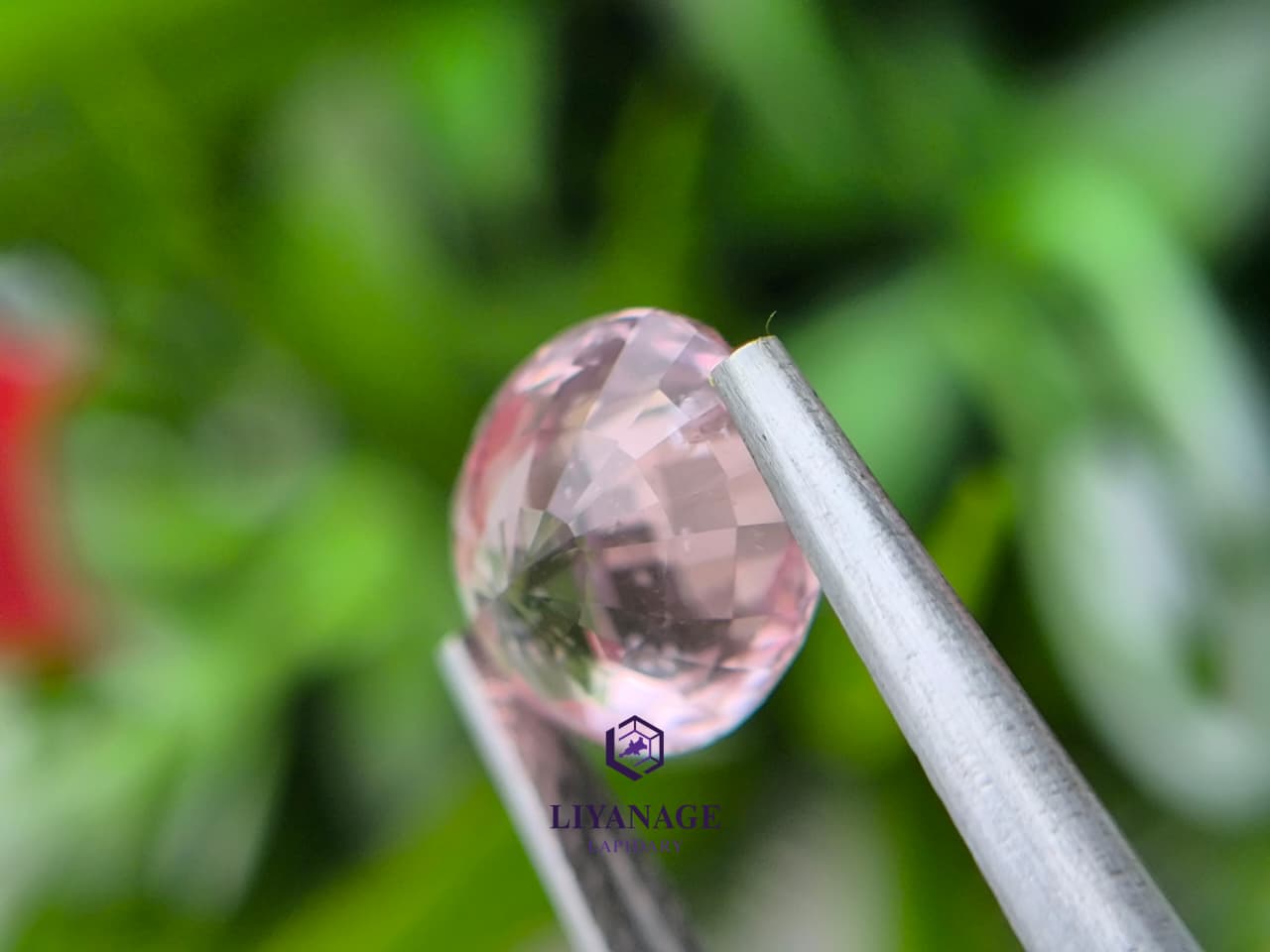 3.05 ct Natural Unheated Madagascar Peachy Pink Sapphire Oval Cut - Image 7