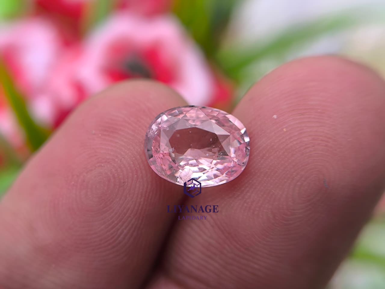 3.05 ct Natural Unheated Madagascar Peachy Pink Sapphire Oval Cut - Image 8