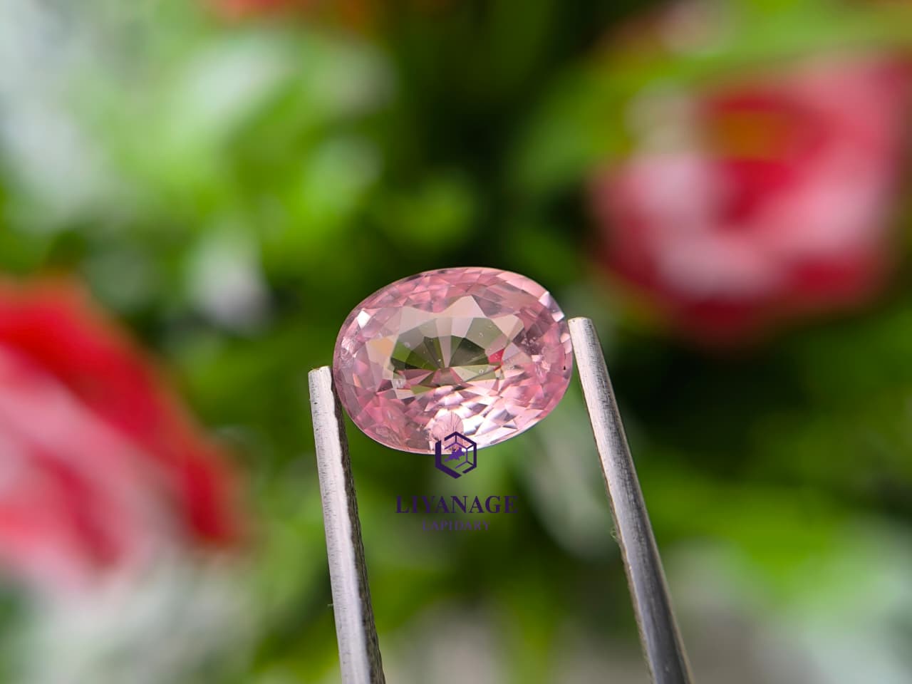 3.05 ct Natural Unheated Madagascar Peachy Pink Sapphire Oval Cut - Image 9
