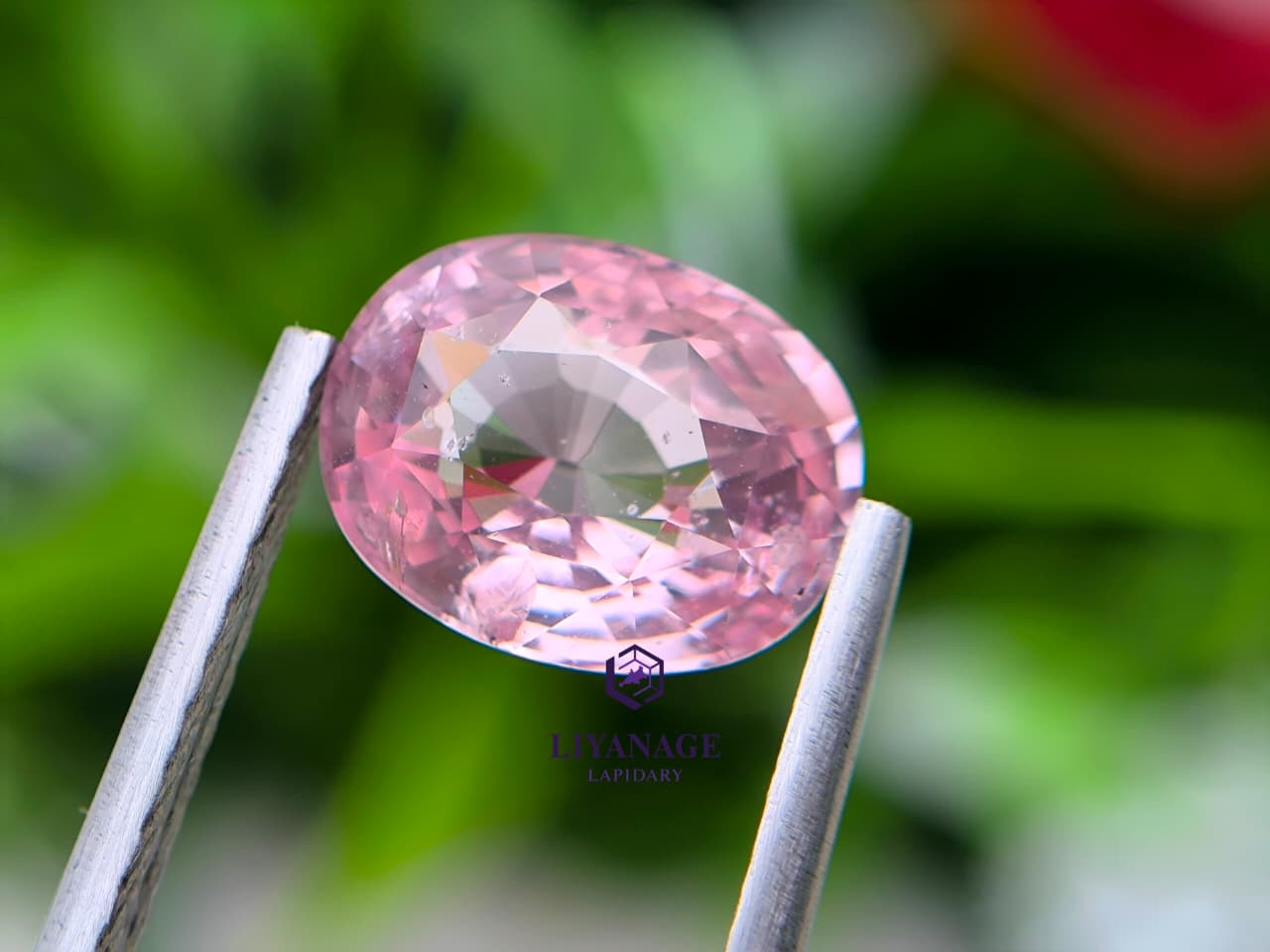3.05 ct Natural Unheated Madagascar Peachy Pink Sapphire Oval Cut