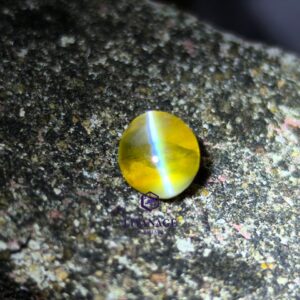 1.46 ct Certified Natural Ceylon Chrysoberyl Cat’s Eye Oval Cabochon