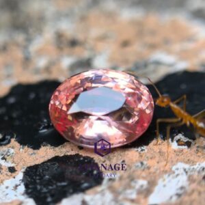 1.30 ct Unheated Ceylon Padparadscha Sapphire Oval Step Cut
