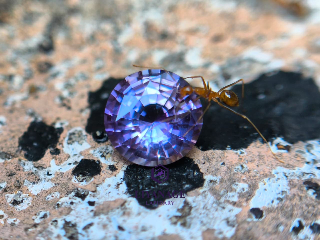 1.25 ct unheated Ceylon purple sapphire round cut with pink violet and bluish hue