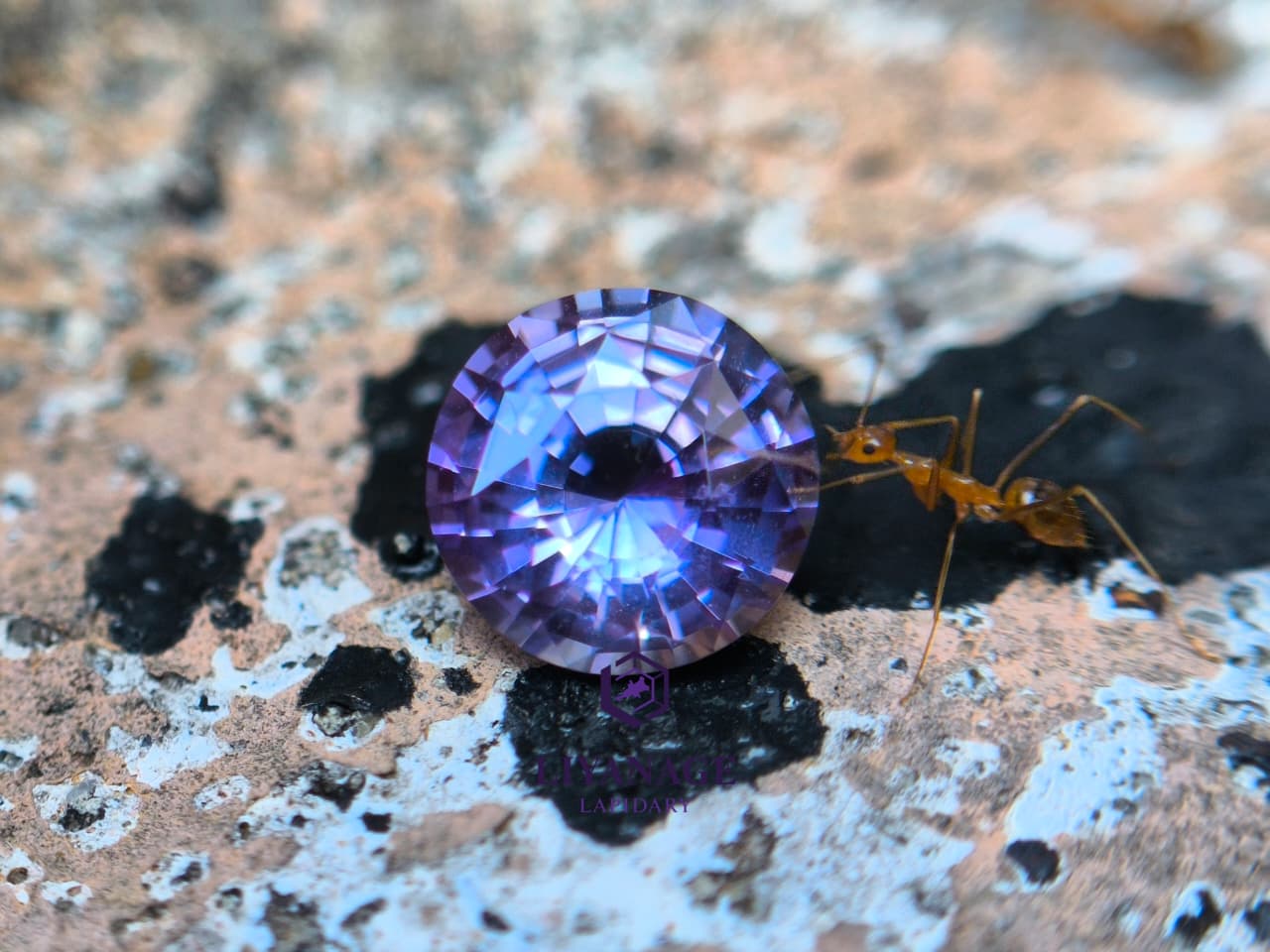 1.25 ct unheated Ceylon purple sapphire round cut with pink violet and bluish hue