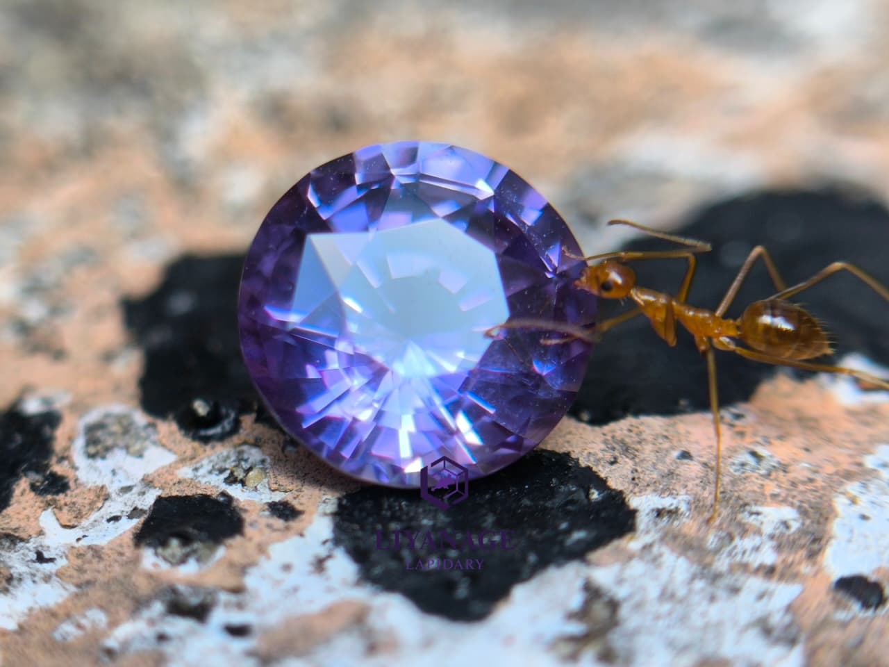 1.25 ct unheated Ceylon purple sapphire round cut with pink violet and bluish hue