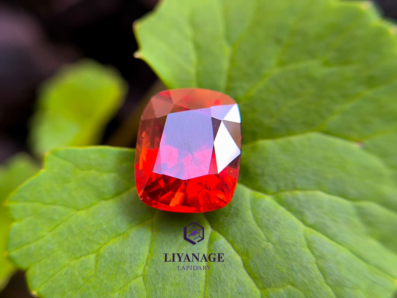 DG00803 | 8.52 ct Unheated Namibian Spessartite Garnet Cushion Cut
