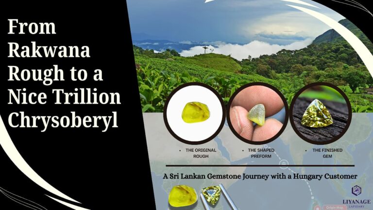 From Rakwana Rough to a Nice Trillion Chrysoberyl: A Sri Lankan Gemstone Journey with a Hungary Customer